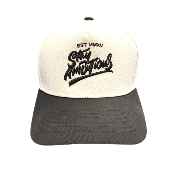 STAY AMBITIOUS 5 PANEL
