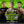THE ULTIMATE MUAY THAI SEMINAR